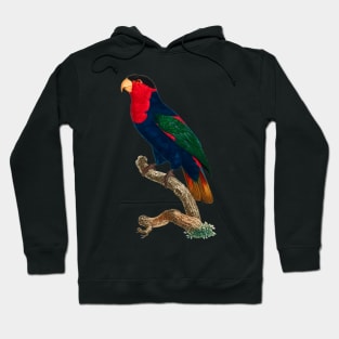 Black Panther Art - Beautiful Parrot 14 Hoodie